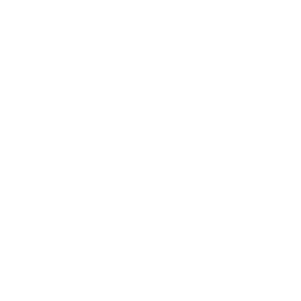 Logo do LEM